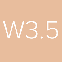 Sample Wonder Foundation