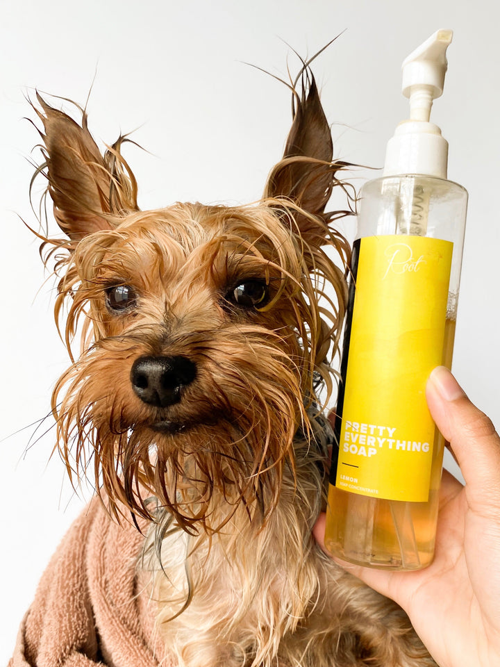 Root Pet Root | Natural & Organic Makeup, Skincare & Haircare | 100% Vegan